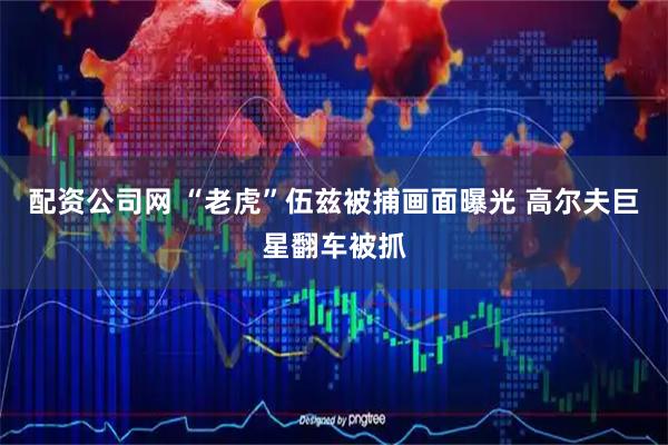 配资公司网 “老虎”伍兹被捕画面曝光 高尔夫巨星翻车被抓