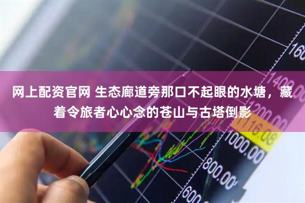 网上配资官网 生态廊道旁那口不起眼的水塘,藏着令旅者心心念的苍山与古塔倒影